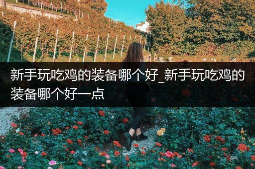 新手玩吃鸡的装备哪个好_新手玩吃鸡的装备哪个好一点