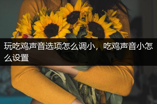 玩吃鸡声音选项怎么调小，吃鸡声音小怎么设置