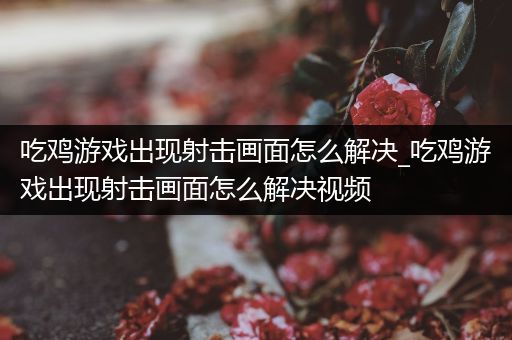 吃鸡游戏出现射击画面怎么解决_吃鸡游戏出现射击画面怎么解决视频