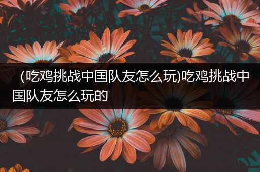 （吃鸡挑战中国队友怎么玩)吃鸡挑战中国队友怎么玩的