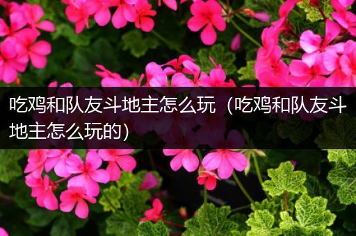 吃鸡和队友斗地主怎么玩（吃鸡和队友斗地主怎么玩的）