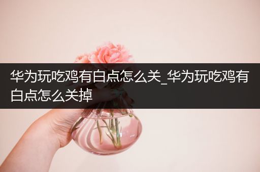 华为玩吃鸡有白点怎么关_华为玩吃鸡有白点怎么关掉