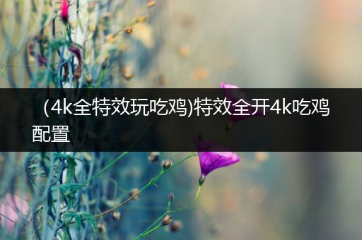 （4k全特效玩吃鸡)特效全开4k吃鸡配置