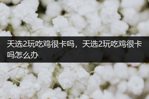 天选2玩吃鸡很卡吗，天选2玩吃鸡很卡吗怎么办