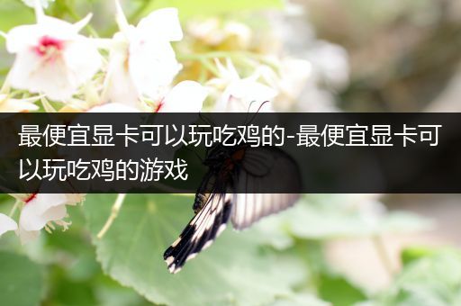 最便宜显卡可以玩吃鸡的-最便宜显卡可以玩吃鸡的游戏