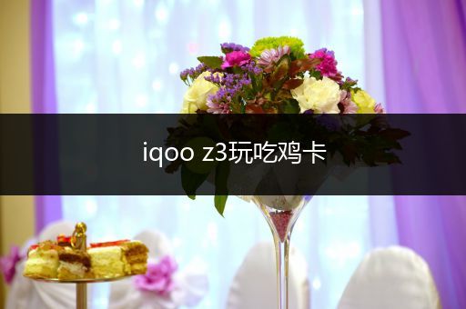 iqoo z3玩吃鸡卡