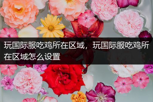 玩国际服吃鸡所在区域，玩国际服吃鸡所在区域怎么设置