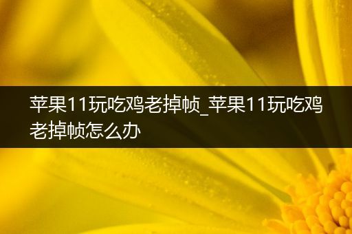 苹果11玩吃鸡老掉帧_苹果11玩吃鸡老掉帧怎么办