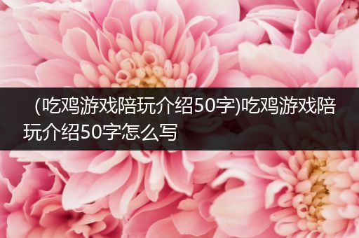 （吃鸡游戏陪玩介绍50字)吃鸡游戏陪玩介绍50字怎么写