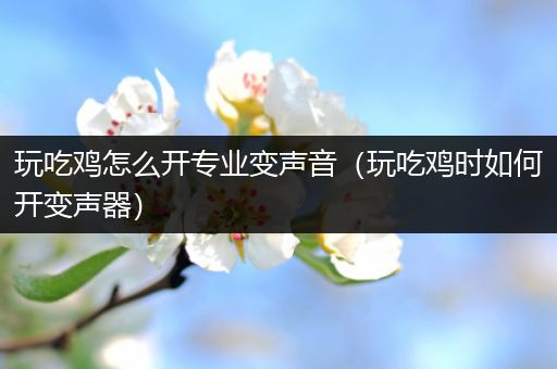 玩吃鸡怎么开专业变声音（玩吃鸡时如何开变声器）
