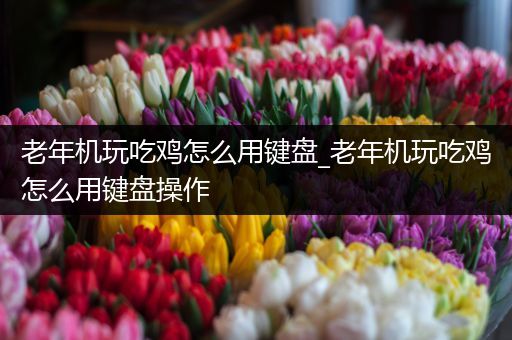 老年机玩吃鸡怎么用键盘_老年机玩吃鸡怎么用键盘操作