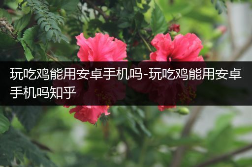 玩吃鸡能用安卓手机吗-玩吃鸡能用安卓手机吗知乎