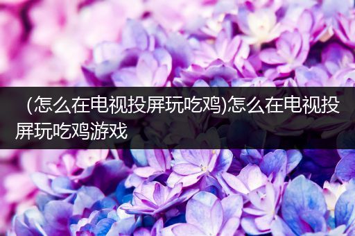 （怎么在电视投屏玩吃鸡)怎么在电视投屏玩吃鸡游戏