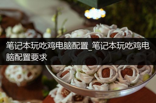 笔记本玩吃鸡电脑配置_笔记本玩吃鸡电脑配置要求