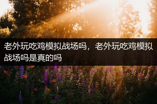 老外玩吃鸡模拟战场吗，老外玩吃鸡模拟战场吗是真的吗