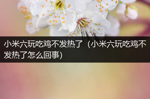 小米六玩吃鸡不发热了（小米六玩吃鸡不发热了怎么回事）