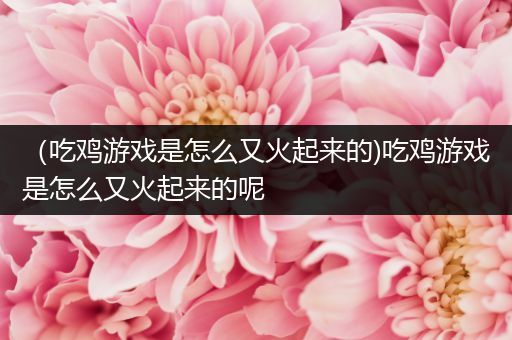 （吃鸡游戏是怎么又火起来的)吃鸡游戏是怎么又火起来的呢