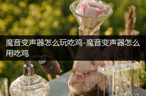 魔音变声器怎么玩吃鸡-魔音变声器怎么用吃鸡