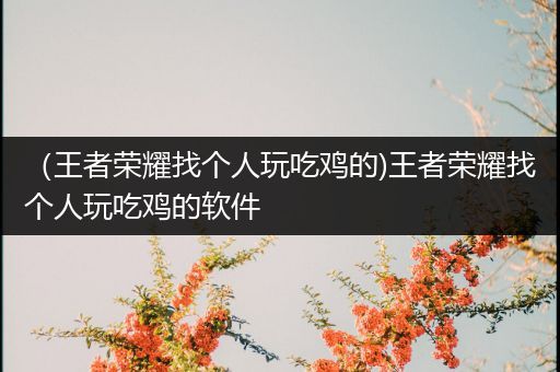 （王者荣耀找个人玩吃鸡的)王者荣耀找个人玩吃鸡的软件