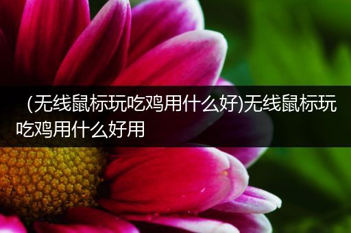 （无线鼠标玩吃鸡用什么好)无线鼠标玩吃鸡用什么好用