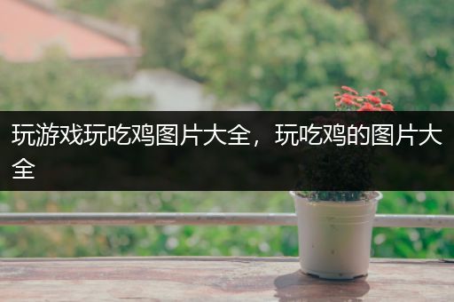 玩游戏玩吃鸡图片大全，玩吃鸡的图片大全