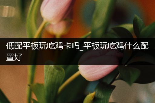 低配平板玩吃鸡卡吗_平板玩吃鸡什么配置好