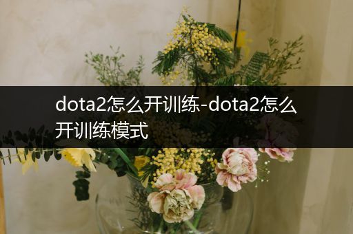 dota2怎么开训练-dota2怎么开训练模式