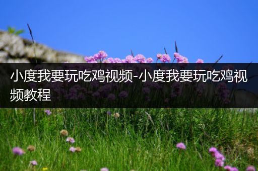 小度我要玩吃鸡视频-小度我要玩吃鸡视频教程