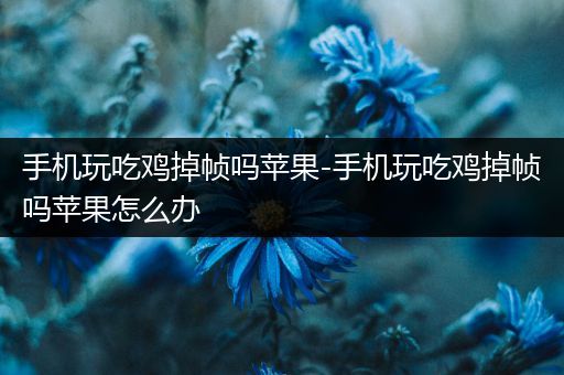 手机玩吃鸡掉帧吗苹果-手机玩吃鸡掉帧吗苹果怎么办