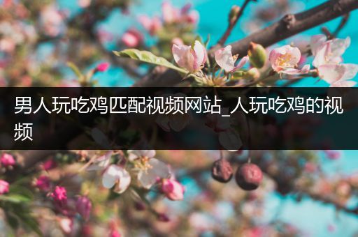 男人玩吃鸡匹配视频网站_人玩吃鸡的视频