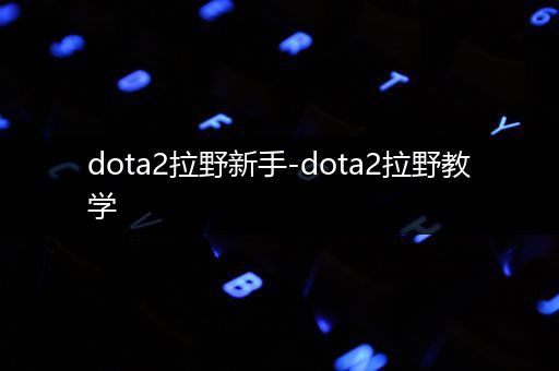 dota2拉野新手-dota2拉野教学