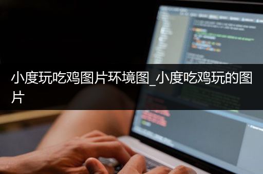 小度玩吃鸡图片环境图_小度吃鸡玩的图片