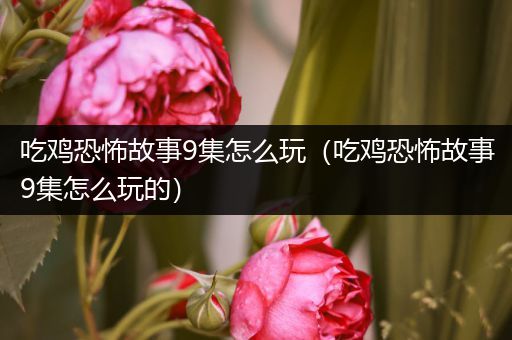 吃鸡恐怖故事9集怎么玩（吃鸡恐怖故事9集怎么玩的）