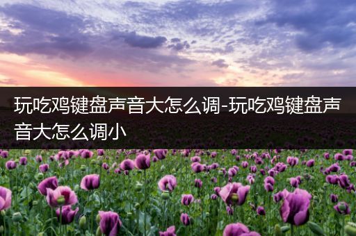玩吃鸡键盘声音大怎么调-玩吃鸡键盘声音大怎么调小