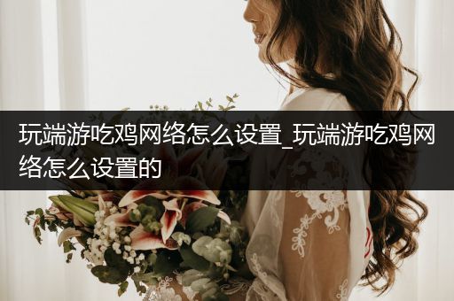 玩端游吃鸡网络怎么设置_玩端游吃鸡网络怎么设置的