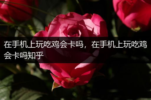 在手机上玩吃鸡会卡吗，在手机上玩吃鸡会卡吗知乎