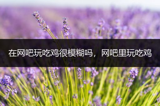 在网吧玩吃鸡很模糊吗，网吧里玩吃鸡
