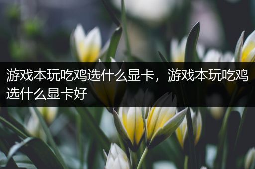 游戏本玩吃鸡选什么显卡，游戏本玩吃鸡选什么显卡好
