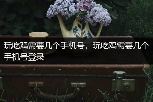 玩吃鸡需要几个手机号，玩吃鸡需要几个手机号登录