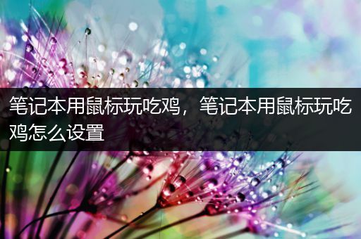 笔记本用鼠标玩吃鸡，笔记本用鼠标玩吃鸡怎么设置