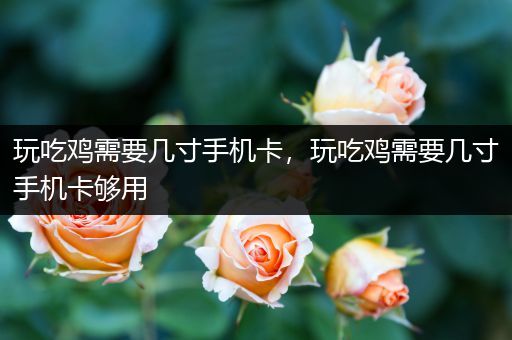 玩吃鸡需要几寸手机卡，玩吃鸡需要几寸手机卡够用