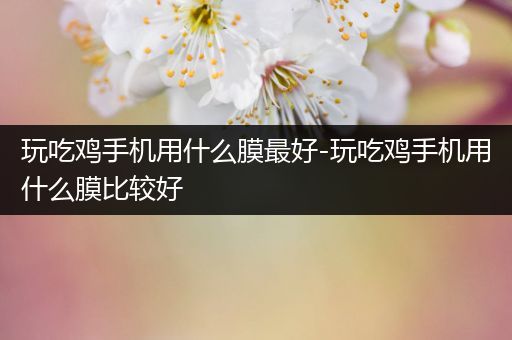 玩吃鸡手机用什么膜最好-玩吃鸡手机用什么膜比较好