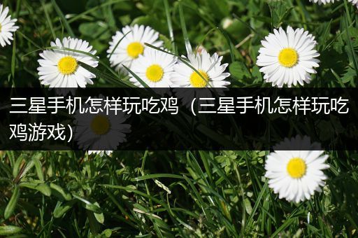三星手机怎样玩吃鸡（三星手机怎样玩吃鸡游戏）