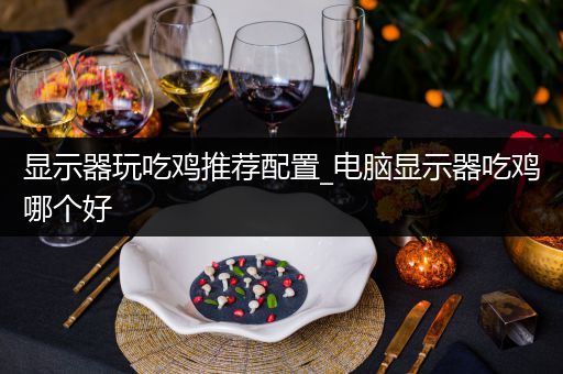 显示器玩吃鸡推荐配置_电脑显示器吃鸡哪个好