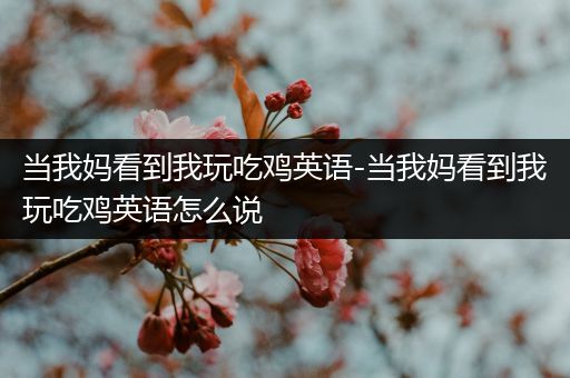 当我妈看到我玩吃鸡英语-当我妈看到我玩吃鸡英语怎么说