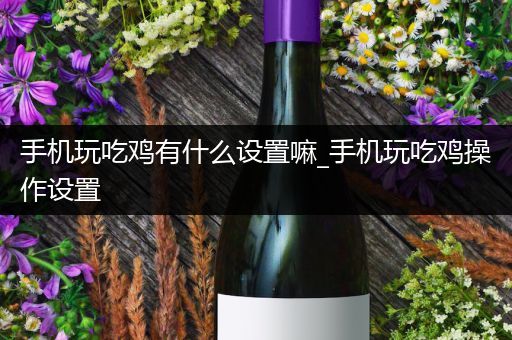 手机玩吃鸡有什么设置嘛_手机玩吃鸡操作设置