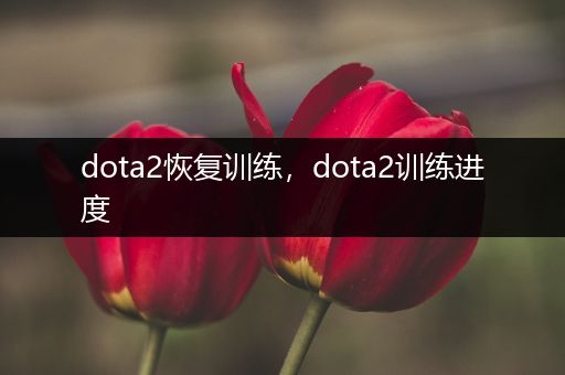dota2恢复训练，dota2训练进度
