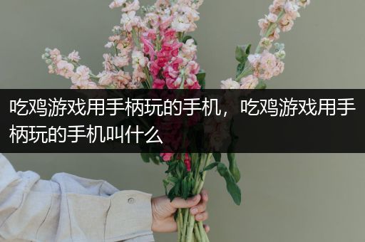 吃鸡游戏用手柄玩的手机，吃鸡游戏用手柄玩的手机叫什么