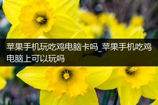 苹果手机玩吃鸡电脑卡吗_苹果手机吃鸡电脑上可以玩吗