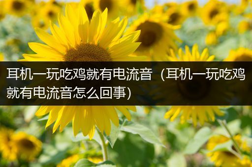 耳机一玩吃鸡就有电流音（耳机一玩吃鸡就有电流音怎么回事）